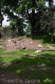 2015_05_28_Zoo_Emmen_040